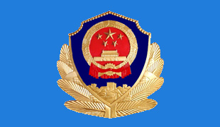 ���ݹ�����